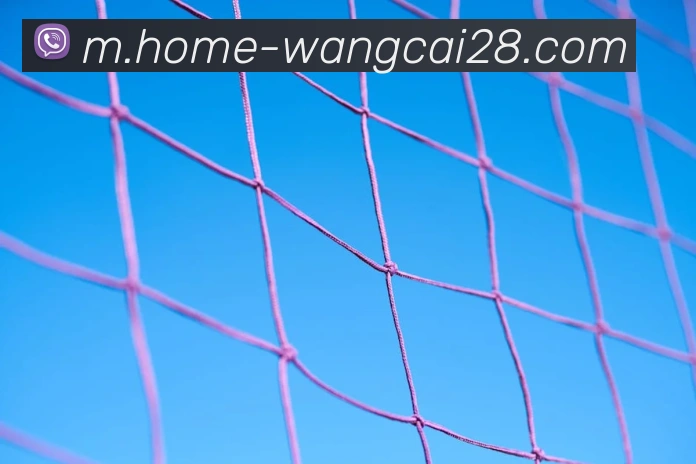 App Interface Preview