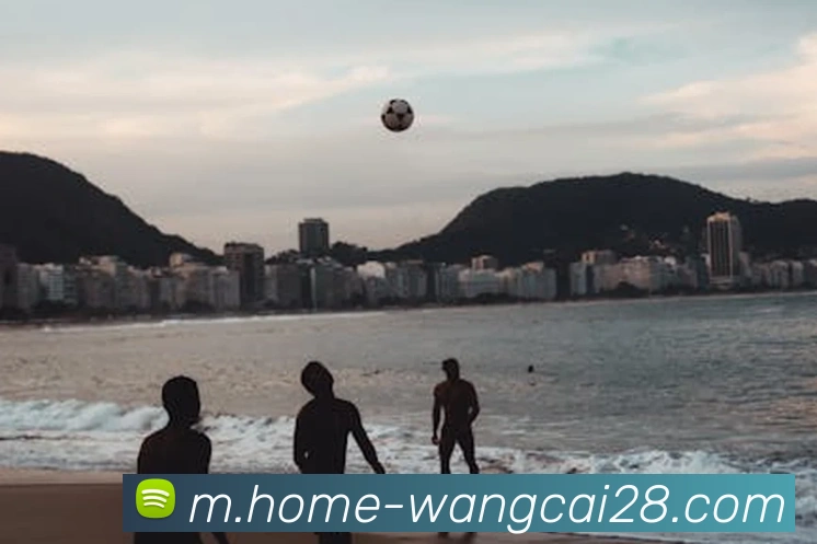 旺财28APP 封面图